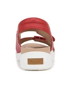 Dr. Scholl's Time Off Era Ankle Strap Sandal | Sandals -Shoe for Everyday 41CJsjnyHL. AC SR736920